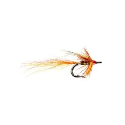Ally’s Cascade Shrimp Nordic Double