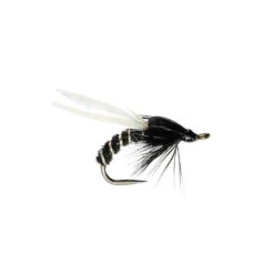 Black Adult Buzzer