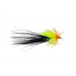 Black Cut Throat Cat