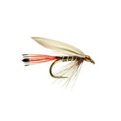 Blue Winged Olive Winged Wet