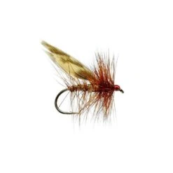 Brown Flag Sedge Dry Fly