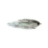 Clydesdale Silver Bait -Angling Promotion Shop Clydesdale Silver Bait