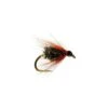 Coachman Winged Wet -Angling Promotion Shop Coachman Winged Wet