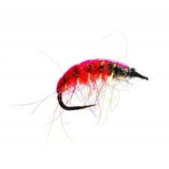 Czech Pink T/B Barbless Nymph