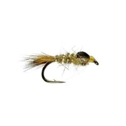 G.R.H.E. Nymph (U/W)