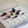 Gamefish Trout Fly Set - 6 Flies In Fly Box -Angling Promotion Shop Gamefish Trout Fly Set 6 Flies in fly box