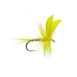 Golden Sally Barbless Dry Fly