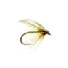 Greenwells Glory Winged Wet -Angling Promotion Shop Greenwells Glory Winged Wet
