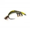Hydropsyche Larva Czech Nymph -Angling Promotion Shop Hydropsyche Larva Czech Nymph