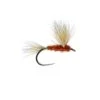 June Comparadon W/Dry B/L -Angling Promotion Shop June Comparadon WDry BL