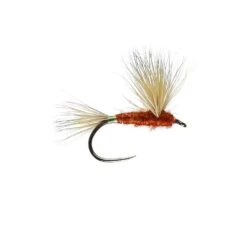 June Comparadon W/Dry B/L