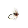 Kill Devil Spider 1 Kill Devil Spider -Angling Promotion Shop Kill Devil Spider