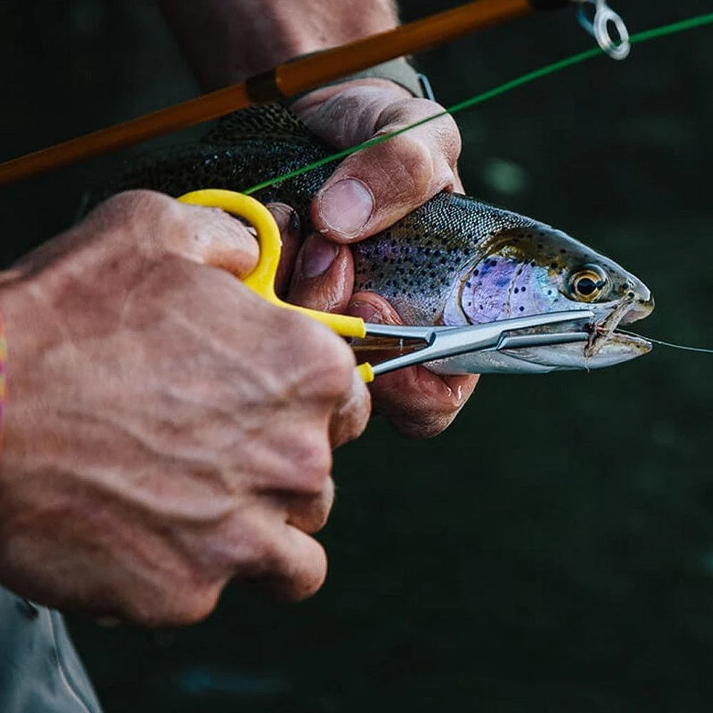 Loon Classic Forceps 4 Loon Classic Forceps - Image 2