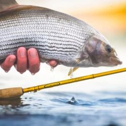 Vision Nymph Hero Outfit10'6 #3 -Angling Promotion Shop Nymph Hero Outfit 106 3 5