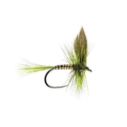 Olive Dun Winged Dry Fly