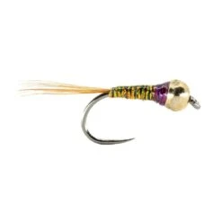 Olive Glint Perdigon T-Bead B/L Nymph