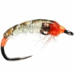 Orange Pearl Nymph T-Bead B/L