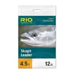 RIO Skagit Leaders