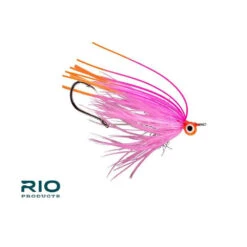 RIO'S CCFCCP Intruder