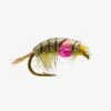 RIO's Midweight Scud 2 RIO's Midweight Scud -Angling Promotion Shop RIOs Midweight Scud