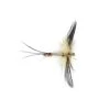 Red Butt Spent Mayfly -Angling Promotion Shop Red Butt Spent Mayfly