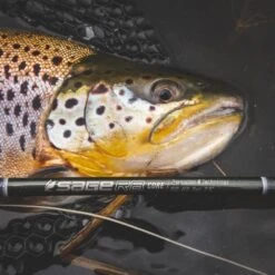 Sage R8 Core Fly Rods -Angling Promotion Shop Sage R8 Core Fly Rods 8