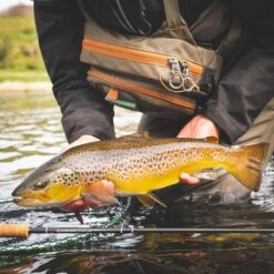 Sage R8 Core Fly Rods -Angling Promotion Shop Sage R8 Core Fly Rods 9