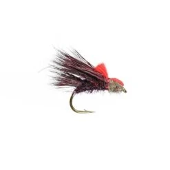 Sedgehog Claret