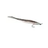Sunray Double -Angling Promotion Shop Sunray Double