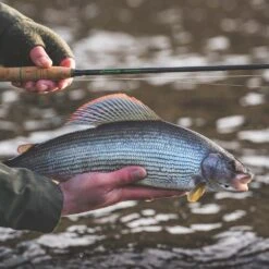 Vision Nymphmaniac Fly Rod 13 Vision Nymphmaniac Fly Rod -Angling Promotion Shop Vision Nymphmaniac Fly Rod 6