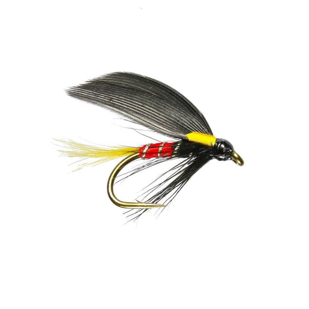 Watson’s Fancy 3 Watson’s Fancy